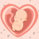 HiMommy: Schwanger & Eisprung icon
