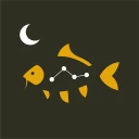 KWO Insights icon