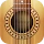Real Guitar: acoustic electric icon