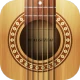 Real Guitar: acoustic electric icon