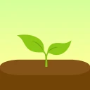 Forest：Rester Concentré icon