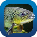 Heintges Angelschein Trainer icon