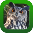 Heintges Jagdprüfung 2026 icon