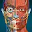 Anatomy Learning - 3D Anatomy icon