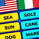 MomoLingo: Engels en meer icon