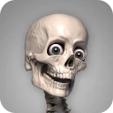 Skelly: Poseable Anatomy Model icon