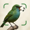 Vogelgeluiden Herkennen App icon