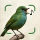Vogelgeluiden Herkennen App icon