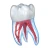 Dental 3D Illustrations icon