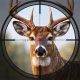 Apex Hunter: Animal Shooting icon