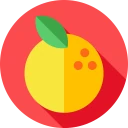PLU Kody dla kasjerów icon