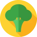 Kody PLU icon
