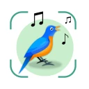 Bird Identifier: Chant Oiseaux icon
