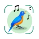 Bird Identifier: Chant Oiseaux icon