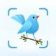 Identification des oiseaux icon