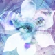 Blue Iris icon