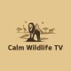 Calm Wildlife 4K TV icon