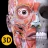Anatomie - 3D Atlas icon