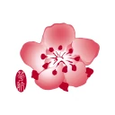 チャイナ エアラインのモバイルアプリサービス icon