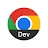 Chrome Dev icon
