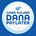 CARA aktifkan DANA Paylater icon