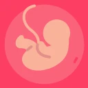 Gestational Age (baby's age) icon