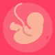 Gestational Age (baby's age) icon