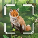 Forêt Mixte™ Smart Counter icon