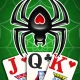 スパイダー ソリティア icon