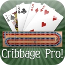 Cribbage Pro Online! icon