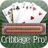 Cribbage Pro Online! icon