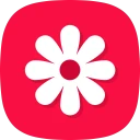 גלריה - גלריית תמונות, אלבום icon