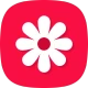 גלריה - גלריית תמונות, אלבום icon