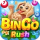 Bingo Rush - Club Bingo Games icon