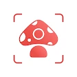 Picture Mushroom - Mushroom ID icon