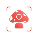 Picture Mushroom - Mushroom ID icon