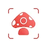 Picture Mushroom - Mushroom ID icon