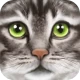 Ultimate Cat Simulator icon