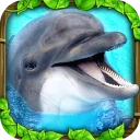Dolphin Simulator icon