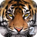 Ultimate Tiger Simulator 2 icon