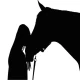 Chevaux - Quiz icon