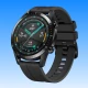 Huawei Watch GT 2 App icon