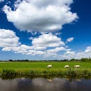 Het Weer in Nederland icon