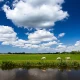 Het Weer in Nederland icon