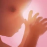 Zwangerschap + | Pregnancy App icon