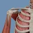 VOKA 3D Anatomy and Physiology icon