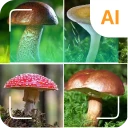 Pilzidentifikator icon