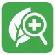 Plantenziekte icon
