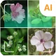 Identifiant de plante icon