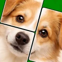 ジグマジック・ソリティア - パズル icon